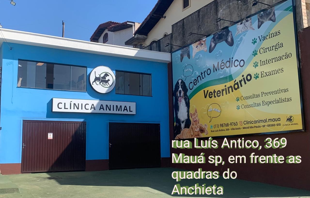 Centro Veterinário Mauá sp. Vó vila Assis